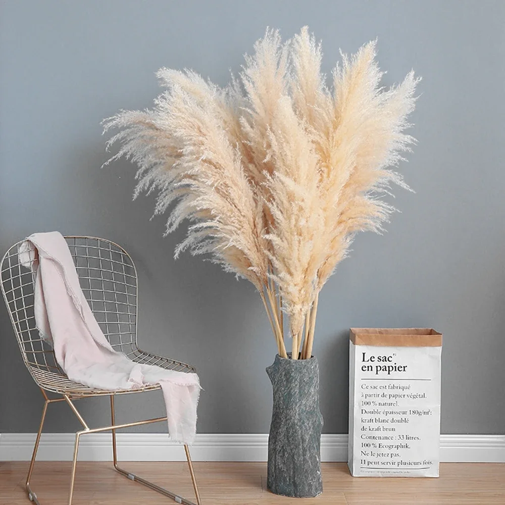 80Cm 120Cm Lông Tơ Lớn Pampas  - đánh giá và giá Dried Flower Bulk