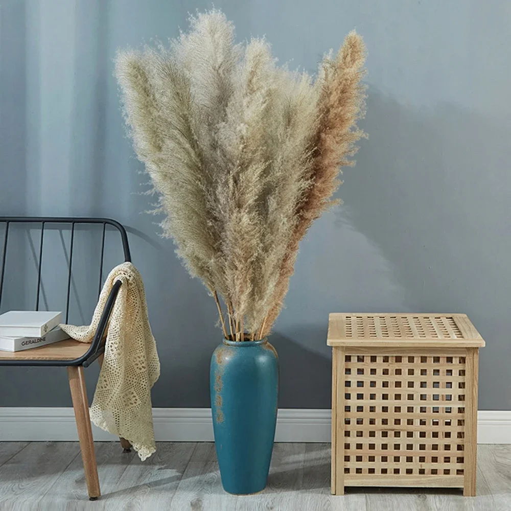 80Cm 120Cm Lông Tơ Lớn Pampas  - đánh giá và giá Dried Flower Bulk