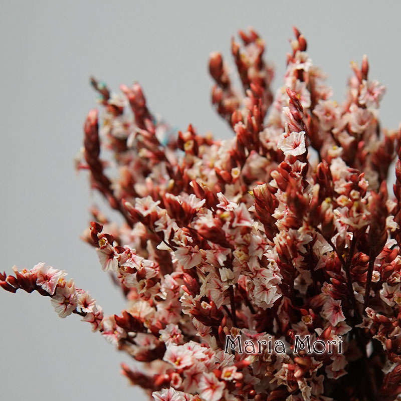 5g/ Colorful Dired Preserved C - đánh giá và giá Flower Preservation Resin