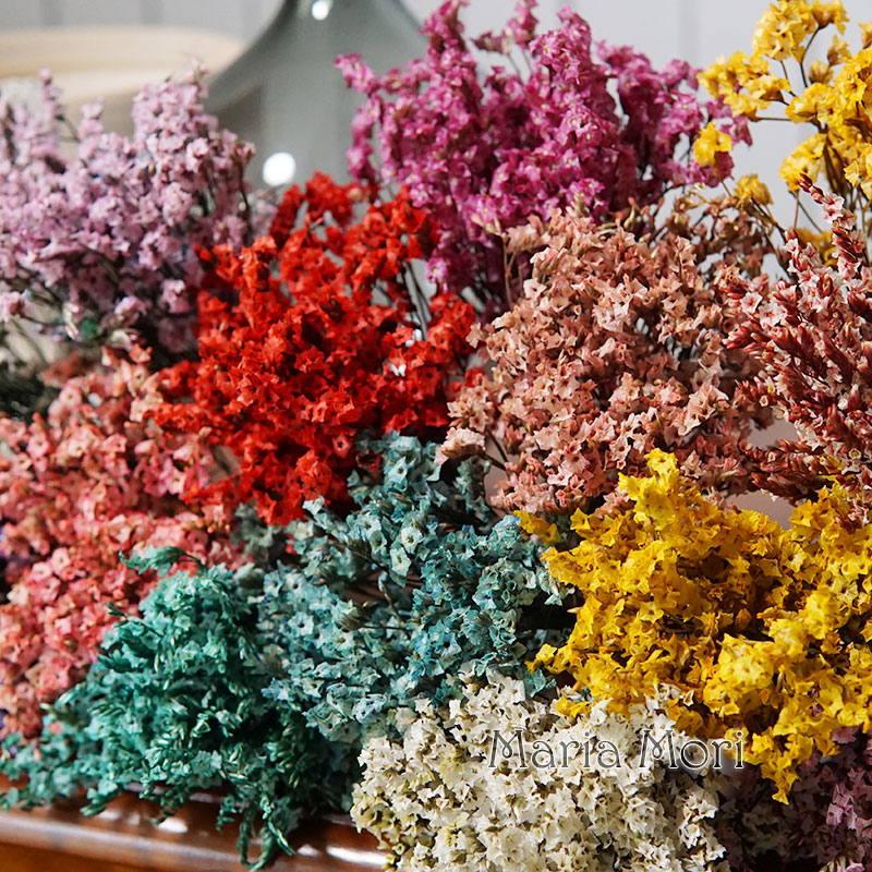 5g/ Colorful Dired Preserved C - đánh giá và giá Flower Preservation Resin