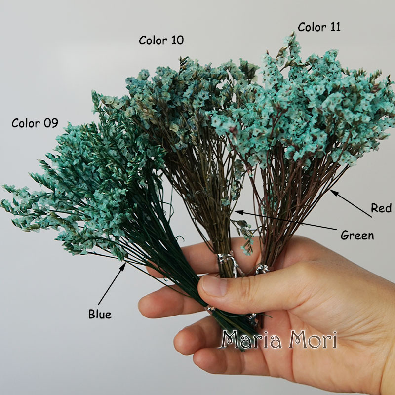 5g/ Colorful Dired Preserved C - đánh giá và giá Flower Preservation Resin