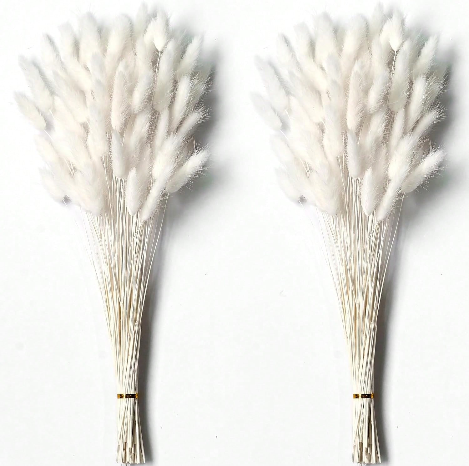 120 PCS Dried Pampas Grass Dec - đánh giá và giá Dried Flower Bulk