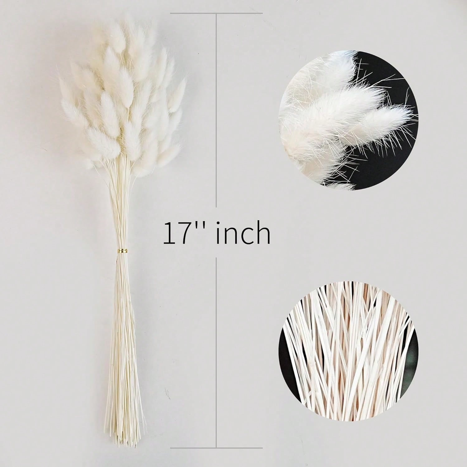 120 PCS Dried Pampas Grass Dec - đánh giá và giá Dried Flower Bulk