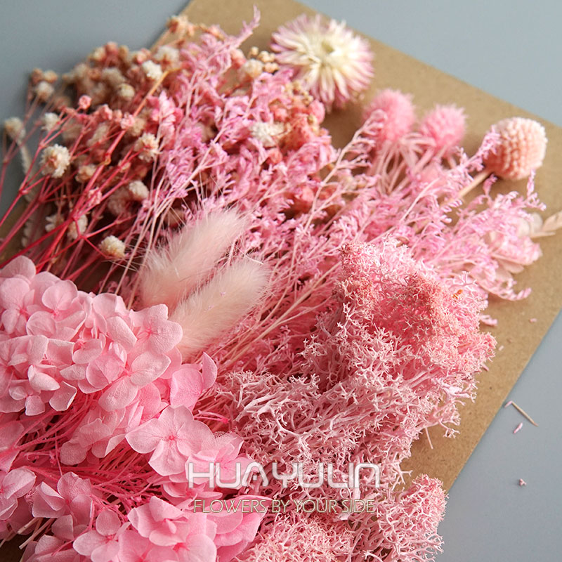 1 Pack Artificial Plants Dried - đánh giá và giá Flower Preservation Resin