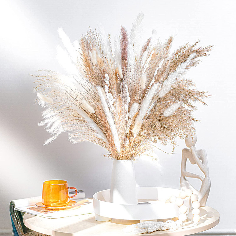 60-100 Chiếc Sấy Khô Tự Nhiên  - đánh giá và giá Dried Flower Bulk